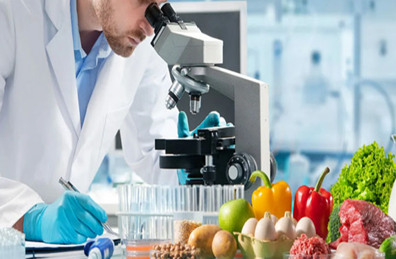 ISO 22000 Gıda Güvenliği Yönetim Sistemi