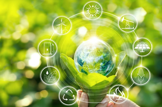 ISO 14001 Çevre Yönetim Sistemi